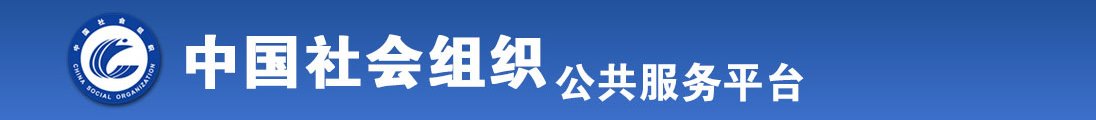 reachen.cn全国社会组织信息查询